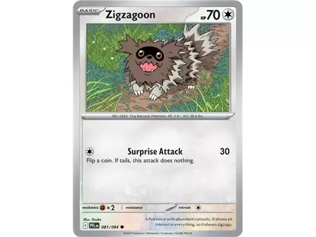 Zigzagoon (Common)