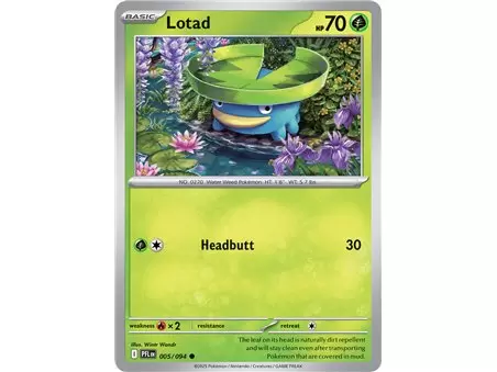 Lotad (Common/Reverse Holofoil)