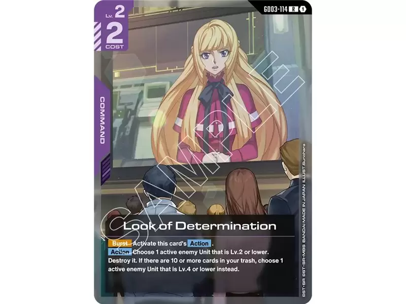 Look of Determination (Rare)