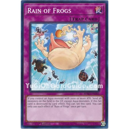 Rain of Frogs (Common)