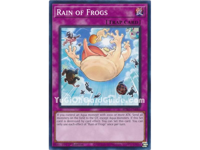 Rain of Frogs (Common)
