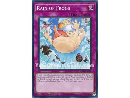 Rain of Frogs (Common)