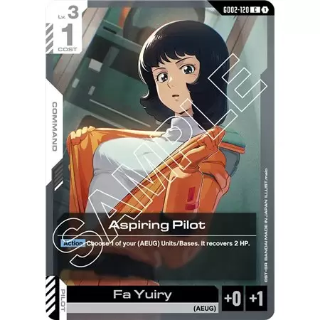 Aspiring Pilot (Common)