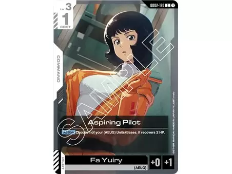 Aspiring Pilot  (Common)