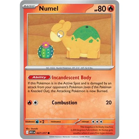 Numel (Common)