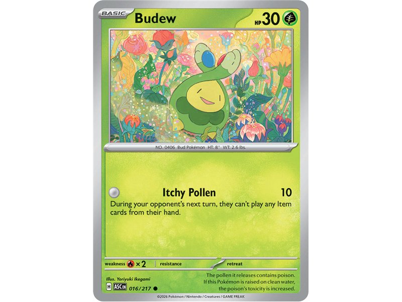 Budew (Common/Reverse Holofoil)