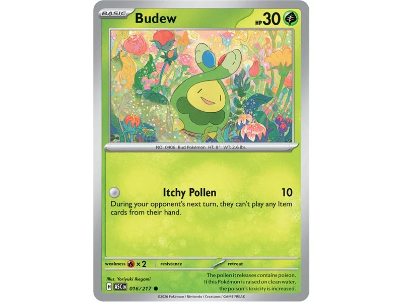 Budew (Common/Reverse Holofoil)