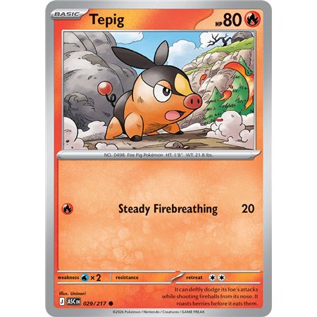 Tepig (Common/Reverse Holofoil)