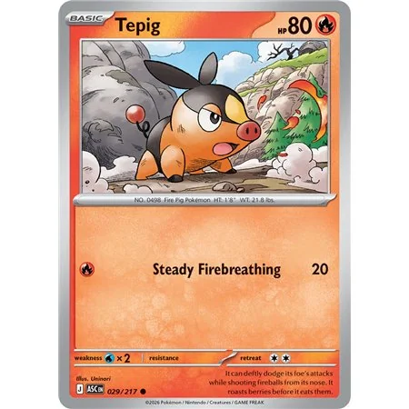 Tepig (Common/Reverse Holofoil)