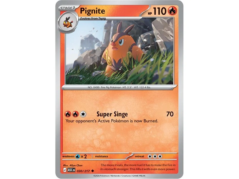 Pignite (Uncommon/Reverse Holofoil)