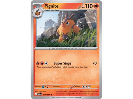 Pignite (Uncommon/Reverse Holofoil)