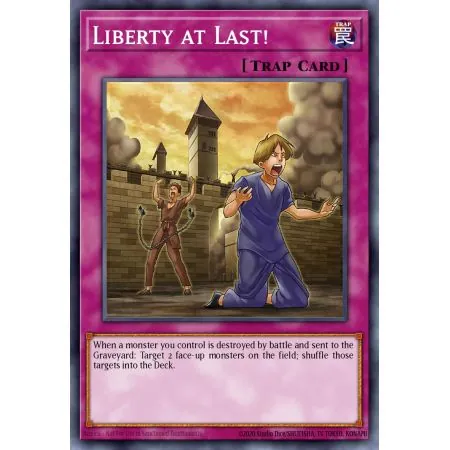 Liberty at Last! (Common)