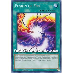 Fusion of Fire (Common)