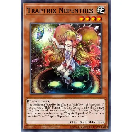 Traptrix Nepenthes (Common)