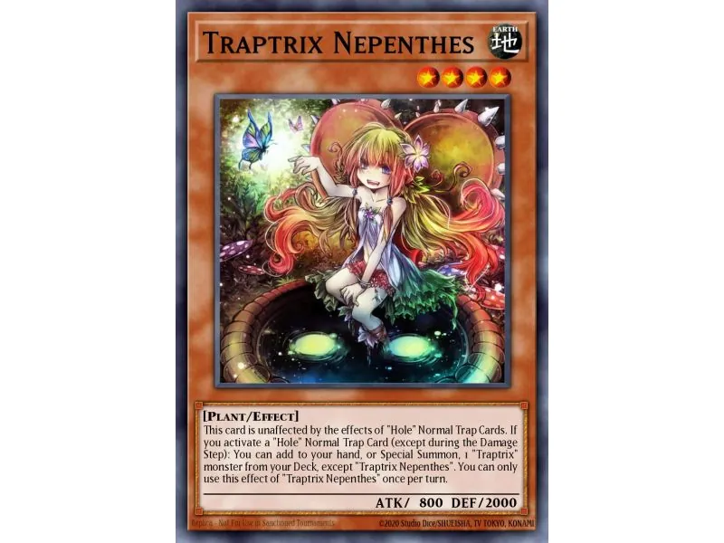 Traptrix Nepenthes (Common)