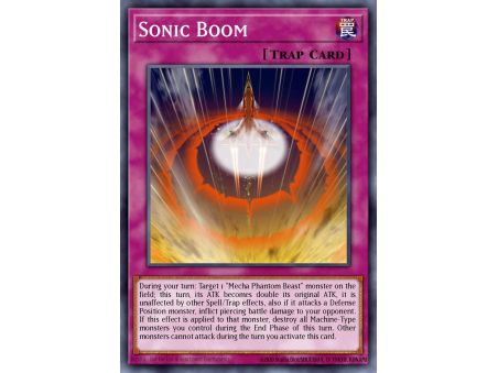 Sonic Boom (Common)