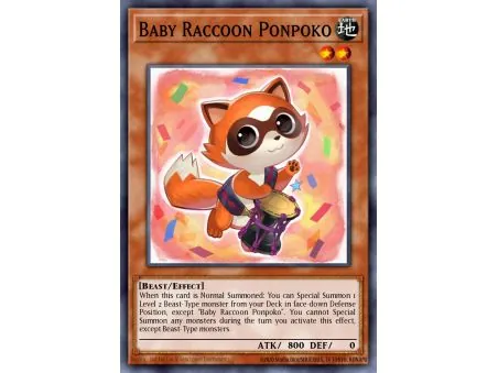 Baby Raccoon Ponpoko (Common)