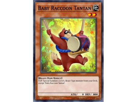 Baby Raccoon Tantan (Common)