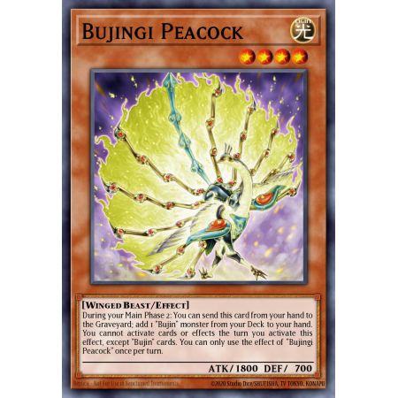 Bujingi Peacock (Rare)
