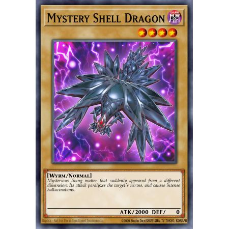 Mystery Shell Dragon (Common)