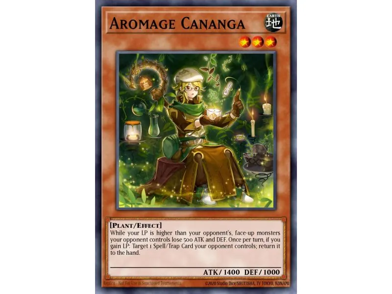 Aromage Cananga (Common)