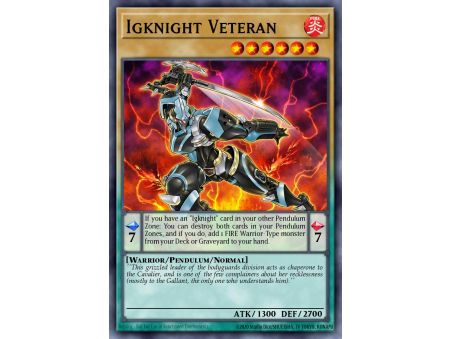 Igknight Veteran (Common)