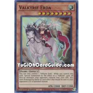 Valkyrie Erda