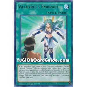 Valkyrie's Embrace (Rare)