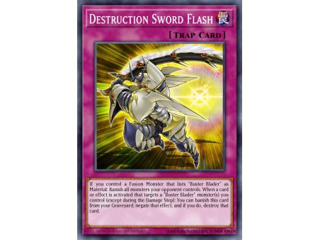 Destruction Sword Flash (Common)