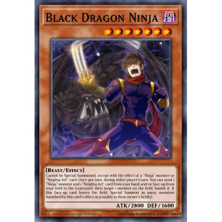 Black Dragon Ninja (Common)