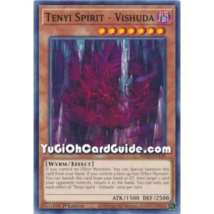 Tenyi Spirit - Vishuda (Common)