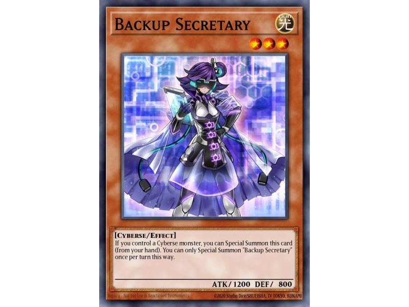 Backup Secretary (Common)