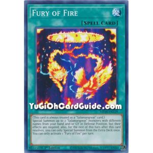 Fury of Fire (Common)