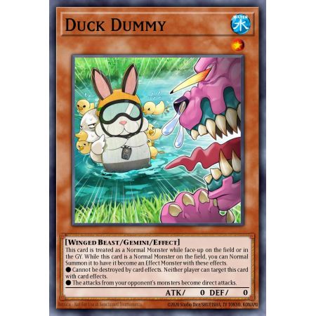 Duck Dummy (Common)