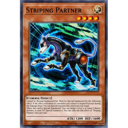 Striping Partner (Common)