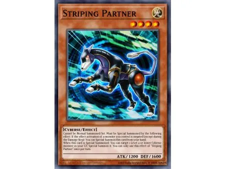Striping Partner (Common)