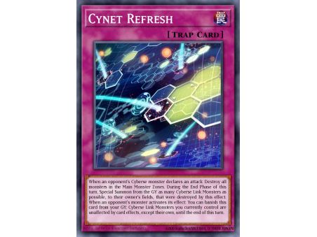 Cynet Refresh (Common)