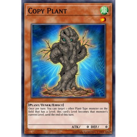 Copy Plant (Common)