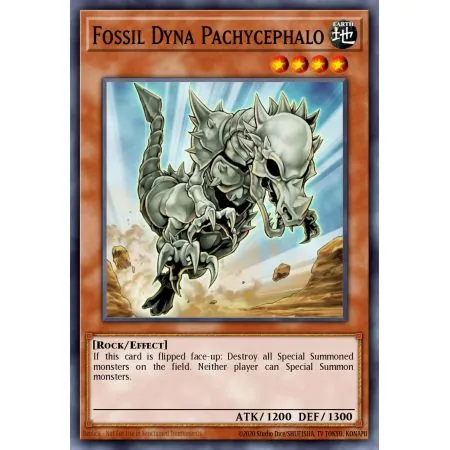 Fossil Dyna Pachycephalo (Common)