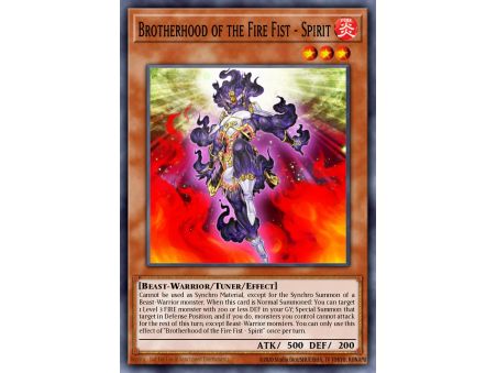 Brotherhood of the Fire Fist - Spirit (Common)