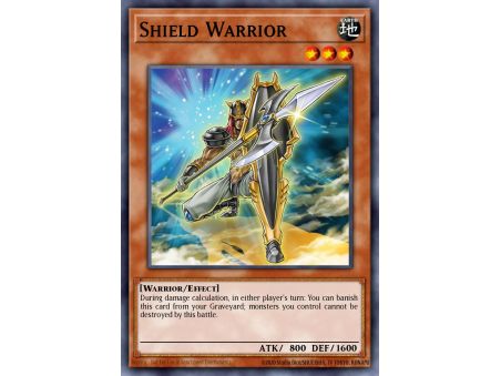 Shield Warrior (Common)