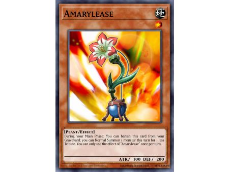 Amarylease (Common)