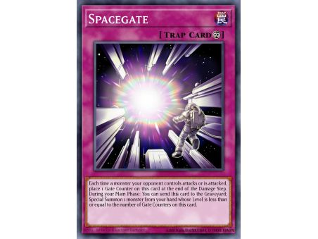 Spacegate (Common)