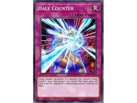 Half Counter (Common)