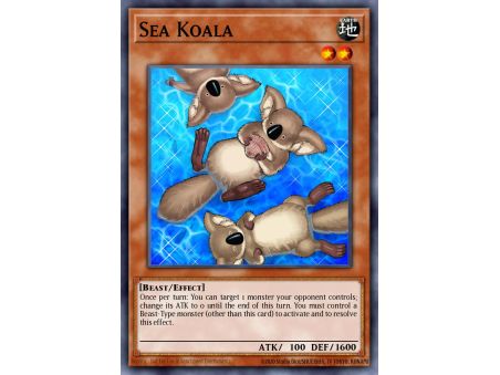Sea Koala (Common)