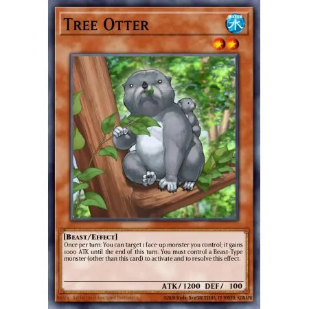Tree Otter (Common)