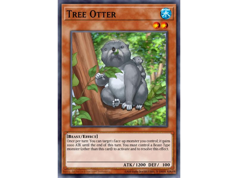 Tree Otter (Common)