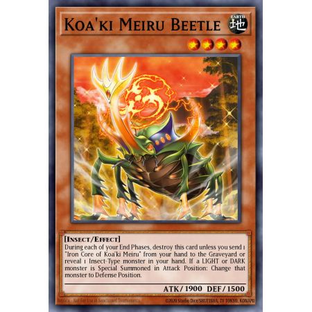 Koa'ki Meiru Beetle (Rare)