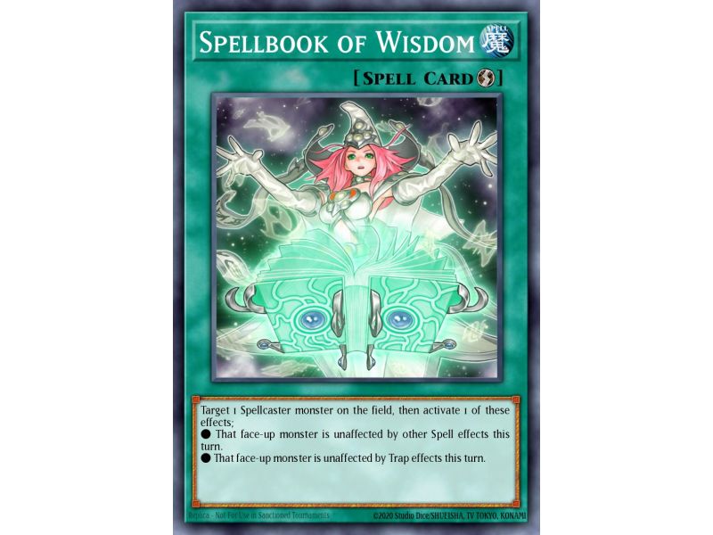 Spellbook of Wisdom (Common)