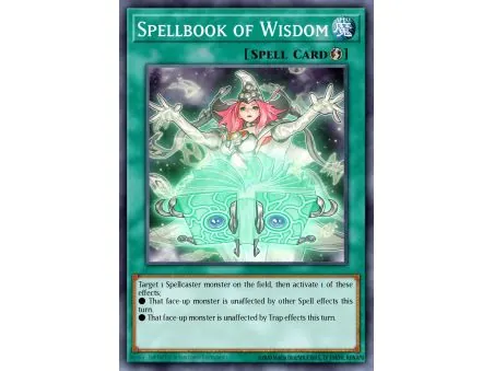 Spellbook of Wisdom (Common)